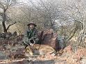 ole-impala